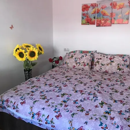 Apartment The Enchanting Flat Brasov