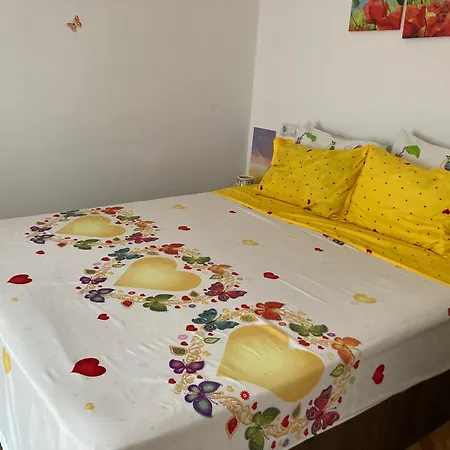 The Enchanting Flat Apartment Brasov